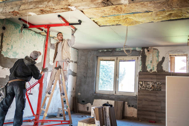 Best Geographic-Specific Insulation Services in Walton Hills, OH