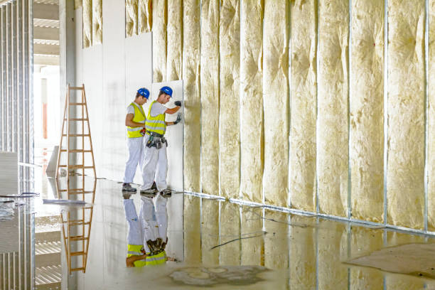 Best Eco-Friendly Insulation in Walton Hills, OH